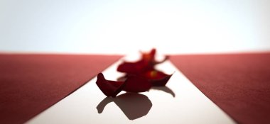 Gül yaprakları kırmızı çizgileri arasında üst üste