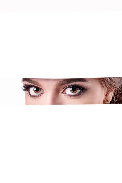 Cara de cerca de chica bonita con hermosos ojos azules grandes, grandes pestañas y cejas entre el espacio en blanco para el texto —  Fotos de Stock