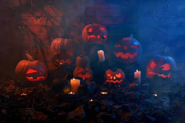 Η έννοια του Halloween. Πολλή φωτεινή κακό scary κολοκύθες, — Φωτογραφία Αρχείου