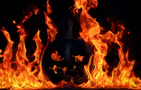 The concept of Halloween. The evil terrible pumpkin is burning i