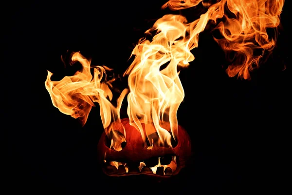 The concept of Halloween. The evil terrible pumpkin spews the he — Stock Photo, Image