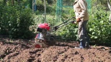 Bir adam bir çiftçi bir banliyö bölgesinde bir sebze bahçesi, kil ve toprak atma, el ile motor pulluk bir Kültüvatör ile kara pulluklar. bir traktör Kültivatör