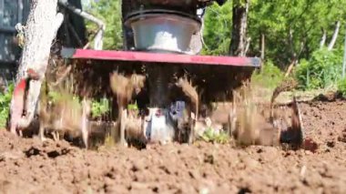 Bir adam bir çiftçi bir banliyö bölgesinde bir sebze bahçesi, kil ve toprak atma, el ile motor pulluk bir Kültüvatör ile kara pulluklar. Bir traktör Kültivatör Close-Up