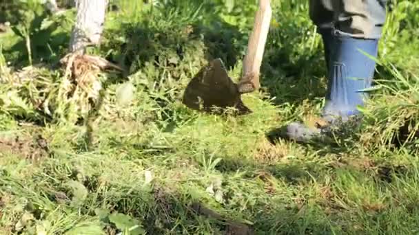 남자는 레이크의 도움으로 지역에 농부는 평준화 식물을 — 비디오