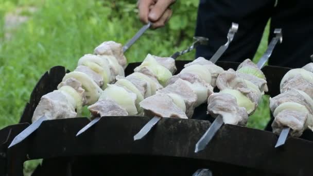 Mannen Sätter Brazier Grillspett Med Kött Shish Kebab Naturen Videofilmer — Stockvideo