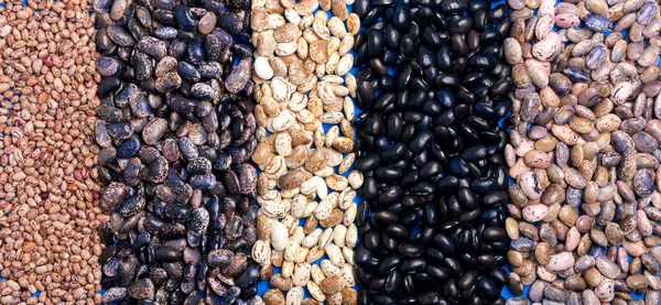 Big Five types of bean grain, bean pod, a lot of beans texture p