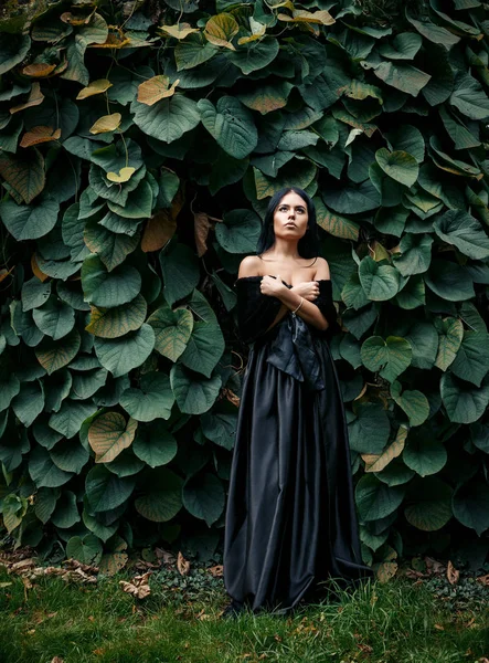 Stylové, luxusní dívka v elegantní černé šaty na ulici, fem — Stock fotografie