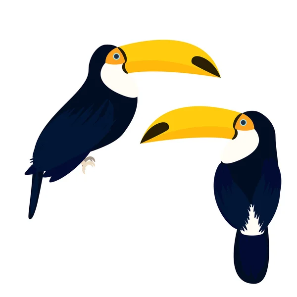 Illustration vectorielle des oiseaux toucans . — Image vectorielle