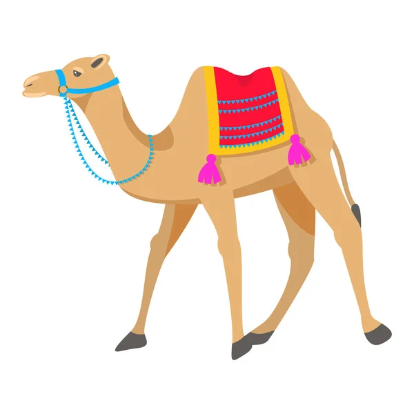 Camello ilustración vector de dibujos animados en blanco . — Vector de stock