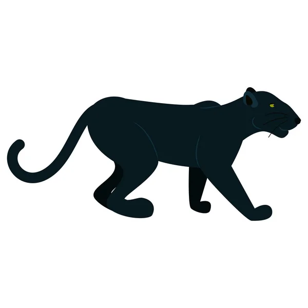 Černý panter divoké zvíře izolované na bílém. — Stockový vektor