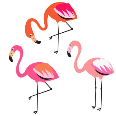 Flamingo düz stil vektör çizim.