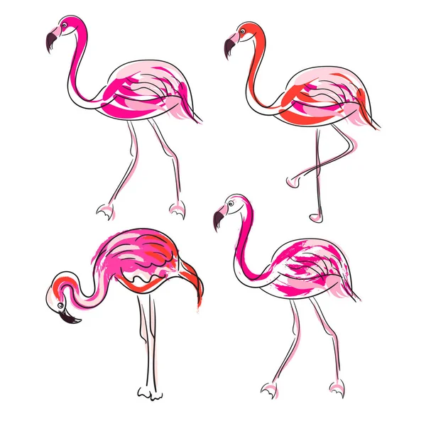 Dibujo dibujado a mano rosa Flamingo vector conjunto . — Vector de stock