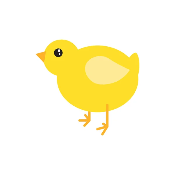 Illustration vectorielle de poulet dessin animé . — Image vectorielle