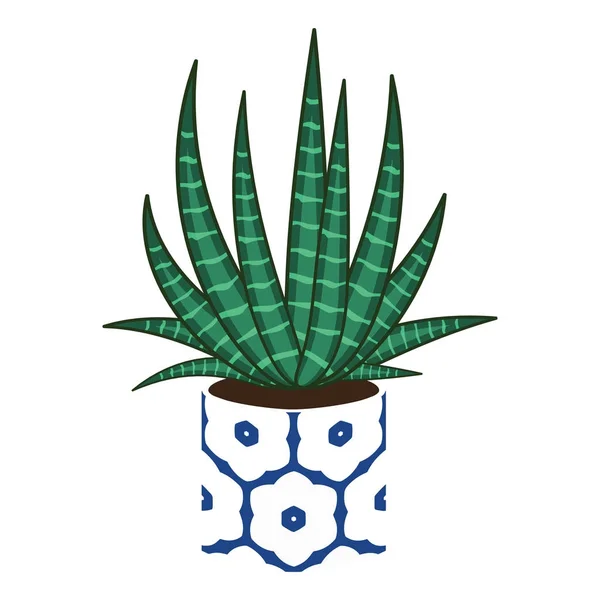 Agave home plant in a pot. - Stok Vektor