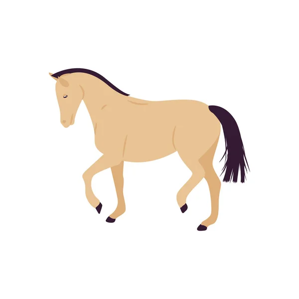 Ilustración vectorial caballo de dibujos animados. Pony de estilo plano . — Vector de stock