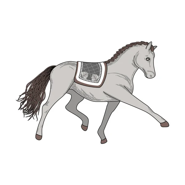 Dressage caballo vector ilustración . — Archivo Imágenes Vectoriales