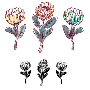 Download Protea Silhouette Free Vector Eps Cdr Ai Svg Vector Illustration Graphic Art