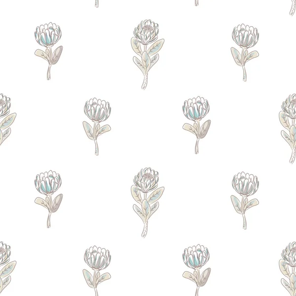 Protea flower seamless vector pattern. — Stock Vector