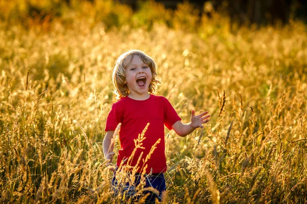 sevimli sarışın çocuk bir alanda gün batımında