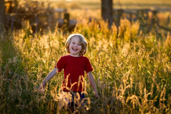 sevimli sarışın çocuk bir alanda gün batımında