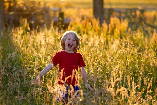 sevimli sarışın çocuk bir alanda gün batımında
