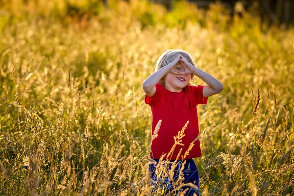 sevimli sarışın çocuk bir alanda gün batımında