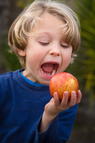 Χαριτωμένο 5 χρονών παιδί που τρώει ένα μήλο Royalty Free Εικόνες Αρχείου