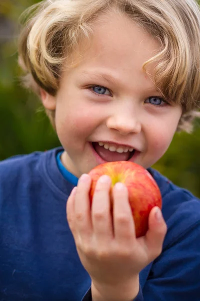 Χαριτωμένο 5 χρονών παιδί που τρώει ένα μήλο Royalty Free Φωτογραφίες Αρχείου