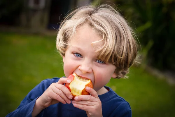 Bir elma yemek şirin 5 yaşındaki çocuk Stok Fotoğraf