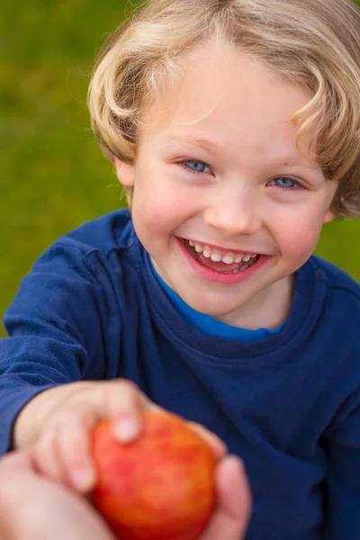 bir elma yemek şirin 5 yaşındaki çocuk