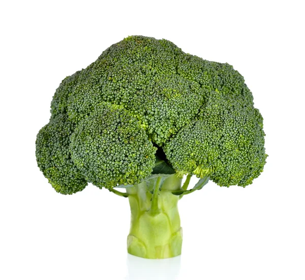 Brocoli isolé sur fond blanc — Photo