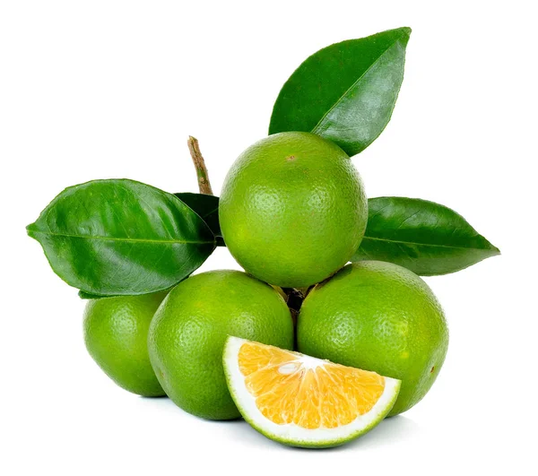 Citrus sinensis isolato su fondo bianco — Foto Stock