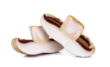 Beyaz arka planda izole Portobello mantarı