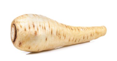 Beyaz arka plan üzerinde izole yaban havucu