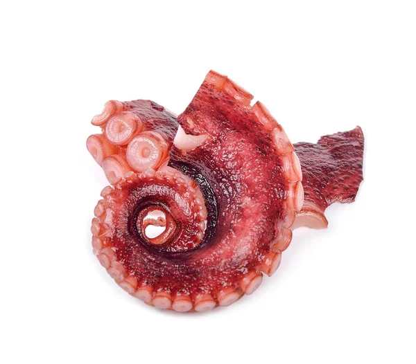 Beyaz arka plan üzerinde izole ahtapot tentacles