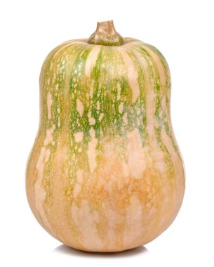 Beyaz arka plan üzerinde izole butternut