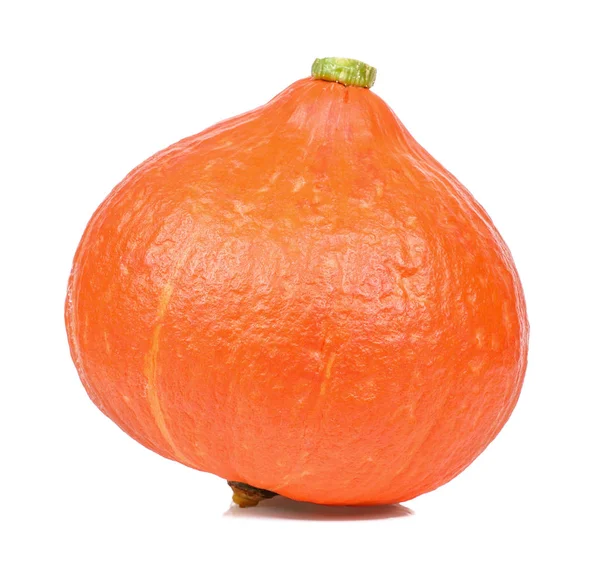 Calabaza aislada sobre el fondo blanco — Foto de Stock