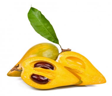 Beyaz arka plan üzerinde izole Pouteria campechiana