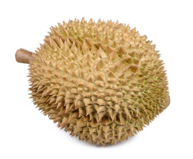 Beyaz arka plan üzerinde izole durian