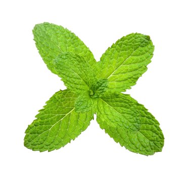 Beyaz arka plan üzerinde izole nane