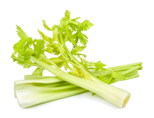 Celer izolovaných na bílém pozadí — Stock fotografie