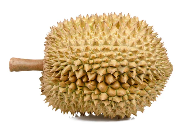 Durian na białym tle na białym tle — Zdjęcie stockowe