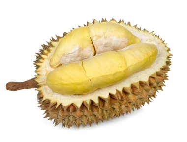 Beyaz arka plan üzerinde izole durian