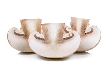 Şampiyon Mantarı beyaz arkaplanda izole edildi