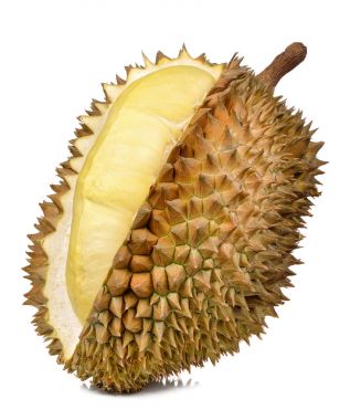 Beyaz arka plan üzerinde izole durian