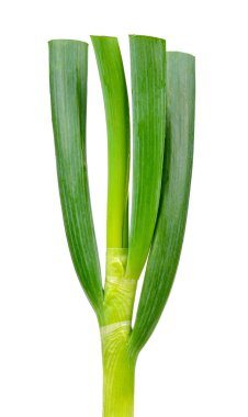 Beyaz arka plan üzerinde izole Japon yeşil soğan