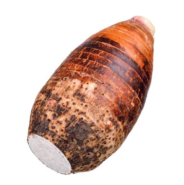 Beyaz arka plan üzerinde izole taro