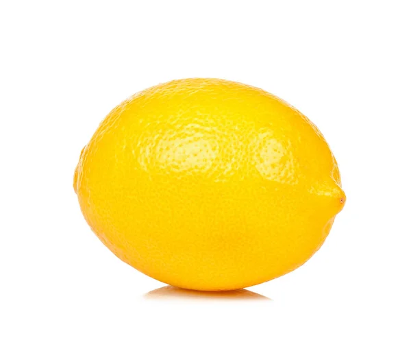 Lemon fruit isolated on the white background — Stock Photo, Image