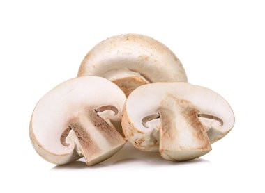 Beyaz arka plan üzerinde izole champignon mantar