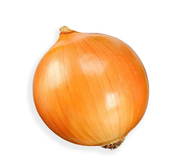 Onion isolated on white clipping path — Stock Photo, Image